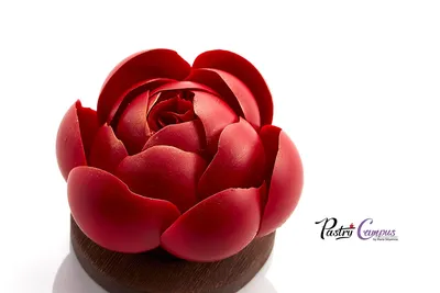 Притягательная элегантность: фото 'Цветы из шоколада' для скачивания