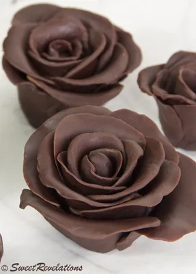 Фотография восхитительных цветов из шоколада – идеальное сочетание вкуса и эстетики