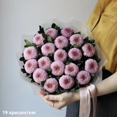 Нежность цветов: красивые фото хризантем для вашего вдохновения