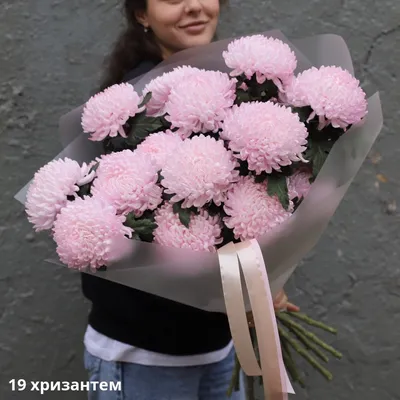 Прекрасные хризантемы: бесплатные фото в хорошем качестве для вашего использования