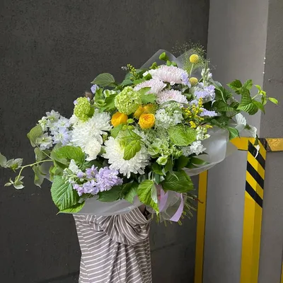 Изображение хризантемы: фотография цветка в обои на телефон
