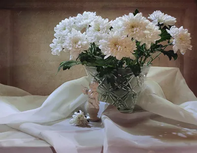Фотка хризантемы: нежное изображение цветка в хорошем качестве