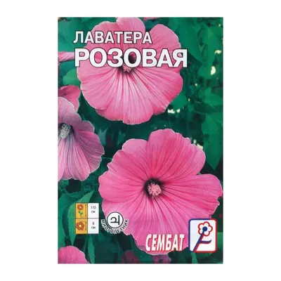 Лаватера: волшебство цветов в одном кадре 