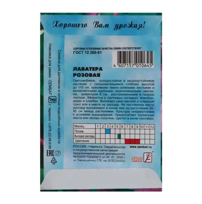 Картинка арт лаватеры: креативное воплощение цветочной прелесть