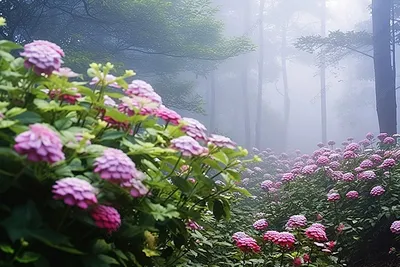 Фото фона с яркими цветами лесных цветов 