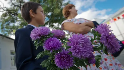 Фото Цветы на 1 сентября: Красивые образы природы