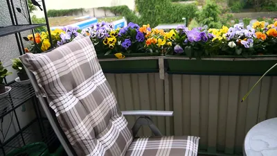 Изображения Цветы на балконе: придайте жизнь своему дому