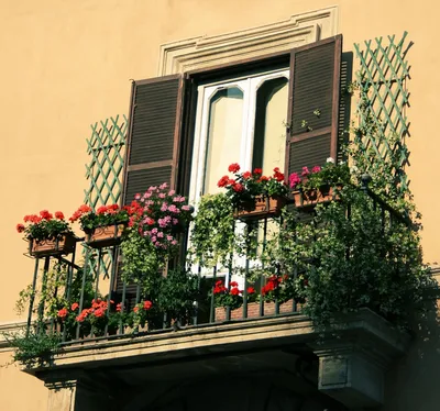 Фото Цветы на балконе: украсьте свое пространство