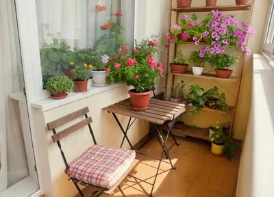 Изящество природы на балконе: фото цветочных композиций