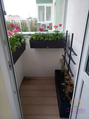 Новые фото Цветы на балконе: бесплатно в HD качестве