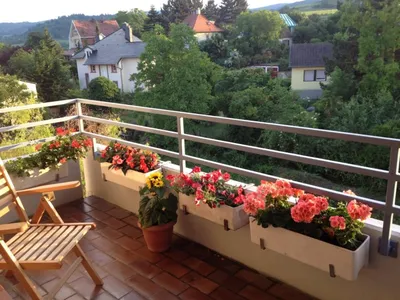 Райский сад на балконе: удивительные фотографии цветочных композиций