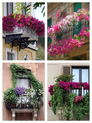 Воплощение летней атмосферы на балконе: фото ярких и запоминающихся цветов