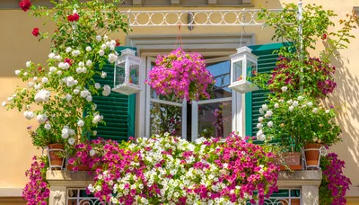 Фото Цветы на балконе: оживите свое пространство