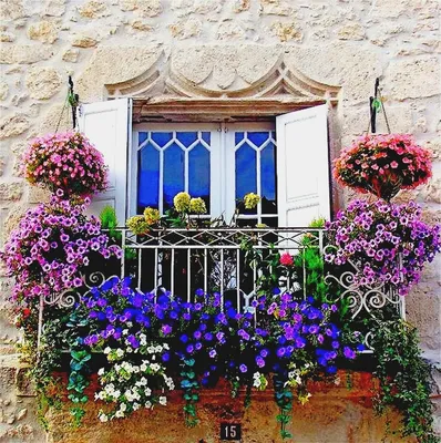 Цветочные фоны на балконе