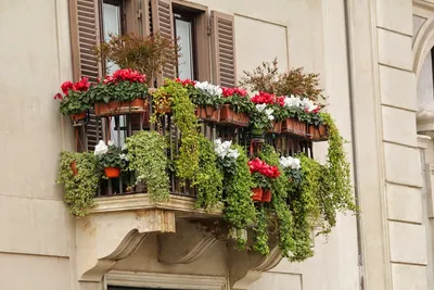 Фото на айфон с впечатляющими цветочными композициями на балконе