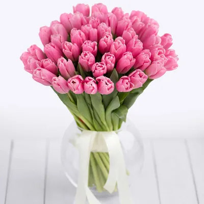Цветы тюльпаны фотографии