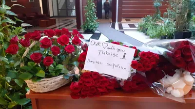 Цветы Турции: Фото прекрасных цветов для рабочего стола