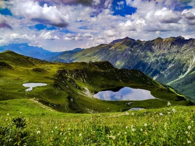 Цветущий рай: фотографии абхазских цветов, вдохновляющих на сказку