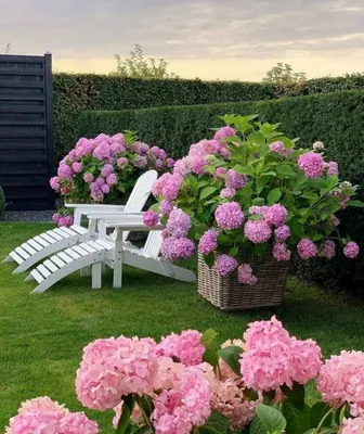 Романтика садов: Фото атмосферного ландшафтного дизайна с цветами