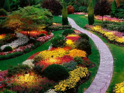 Цветы и цвета в ландшафтном дизайне: фото, обои, бесплатно