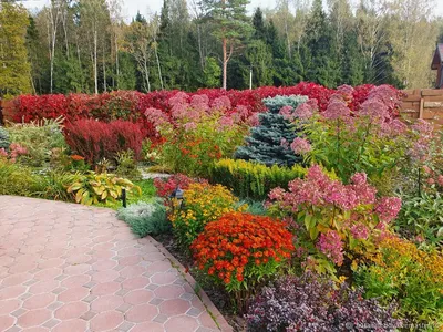 Фотографии цветов в ландшафтном дизайне: красота природы на вашем экране!