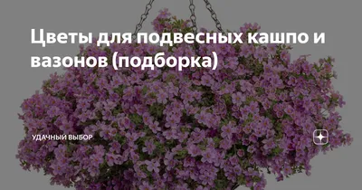 Фон с изображением подвесных горшков и цветов