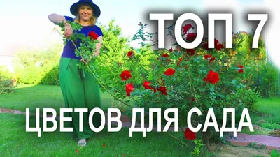 Очаровательные обои с цветами в саду