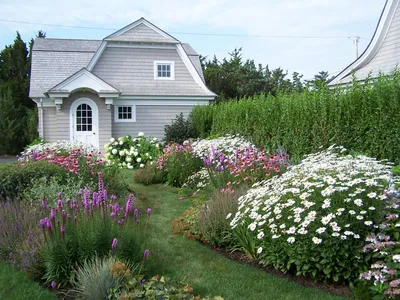 Ласковые обои: Цветы в саду для вашего уюта