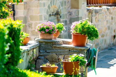Вдохновение для летнего садоводства: фотографии цветов в городских вазонах