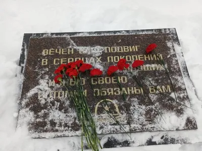 Вдохновение от цветов вк: Эстетика природы в кадрах