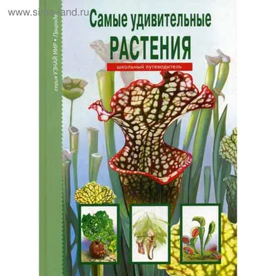 Картинка цветов: великолепие природы