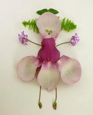 Фотография экзотических лилий: Красота цветов мира на маке