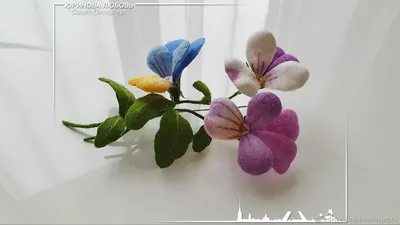 Красочные Виола цветы: декорируйте свое пространство