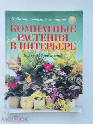 Обои с цветами на рабочий стол: создайте настроение прекрасной природы