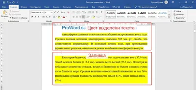 Цветы, как есть: натуральные и яркие снимки цветов и растений