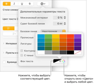 Фотографии цветов: прекрасный выбор фона