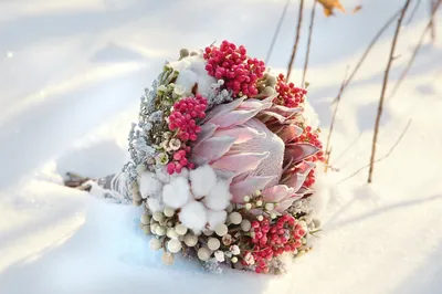 Фотографии зимних цветов: нежность и красота природы