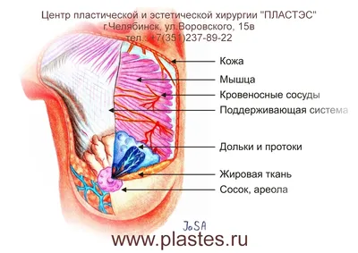 Раздвоенный сосок - Козоводство - Козоводство в Украине, России, СНГ:  форум, хозяйства, рынок