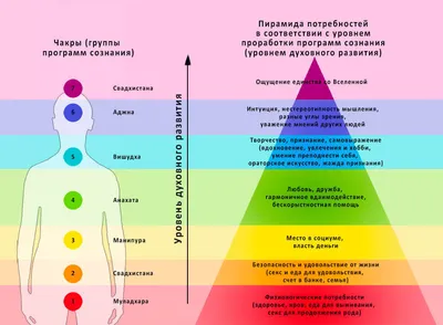 Энергия 7 чакр человека. За что отвечают чакры у женщин и мужчин? Что вы о  них не знали? | Эзотерика. Таро. Биоэнергетика. | Дзен