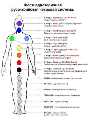 Gravitation islam Браслет 7 чакр Хамса от сглаза оберег