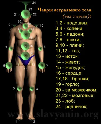 Чакра Звезда Земли: Внутренняя Сила и Проявленность в Физическом Мире -  Трансформационный Коучинг