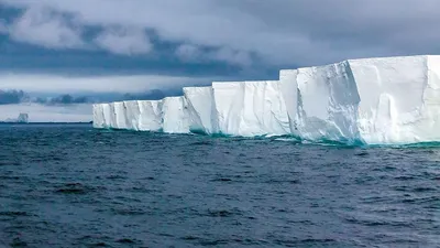 Крупнейший на планете айсберг вынесло в воды Южного моря :: Новости :: ТВ  Центр