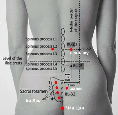 Акупунктурные точки на теле человека фото