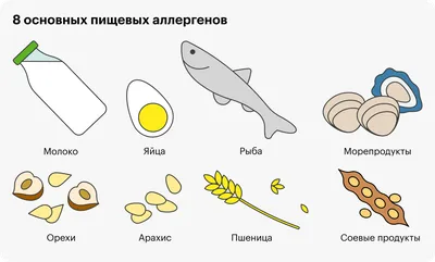 Аллергия на креветки: причины, симптомы, диагностика, лечение