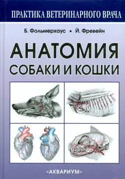 Анатомия собаки в формате jpg: сохраняйте изображения на компьютер и пользуйтесь в любое время