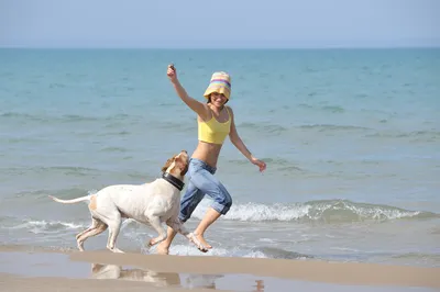 Заголовок: Скачать бесплатно фото авитаминоза у собак для обоев