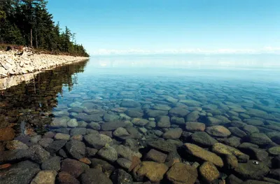 Вода Байкал Резерв, газированная, 1л