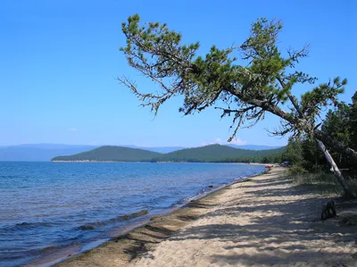 Вода BAIKAL430 негаз. 0,45л - 45 руб.