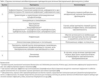 Скачать бесплатно изображения бактериального фолликулита у собак в хорошем качестве