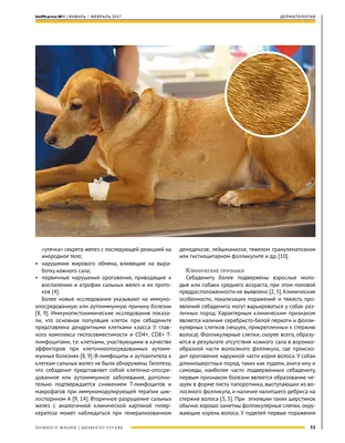 Фото собак с бактериальным фолликулитом для использования в качестве обоев